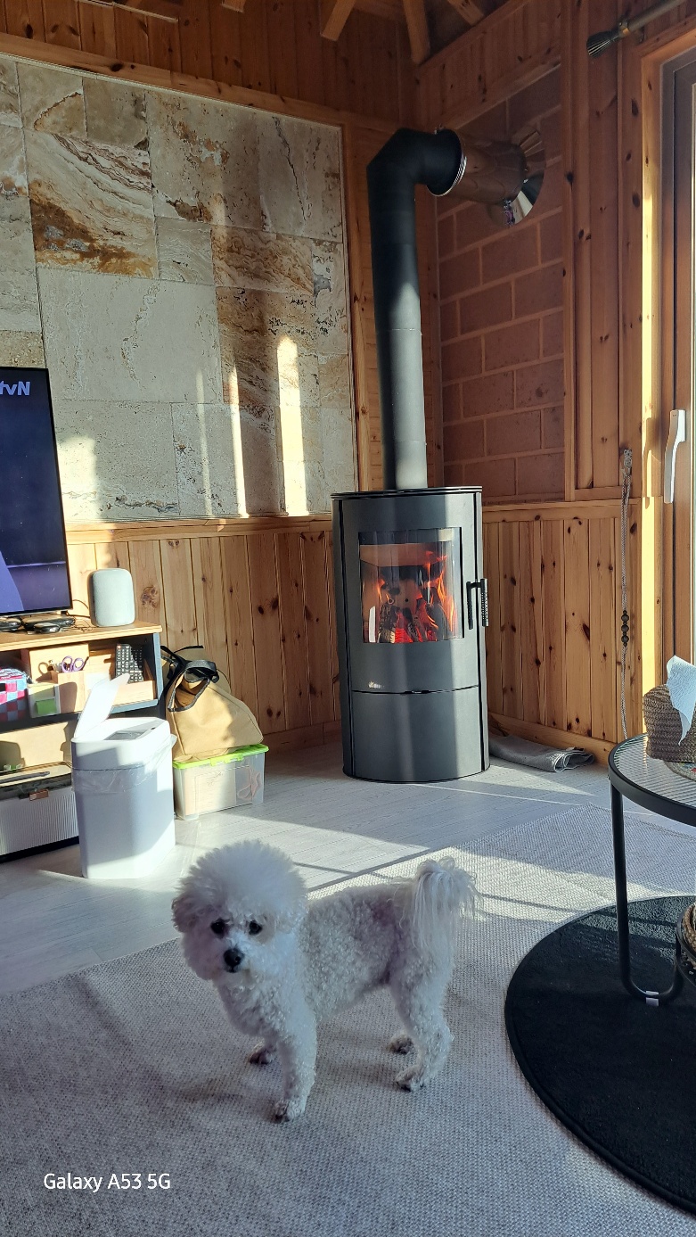 KakaoTalk_20250208_101826350.jpg